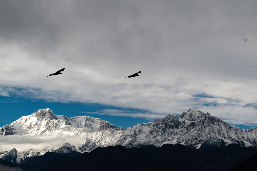 Chandrashila – Tungnath&nbsp;Trek